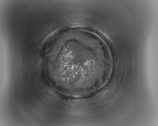 X0000113571351200909251126