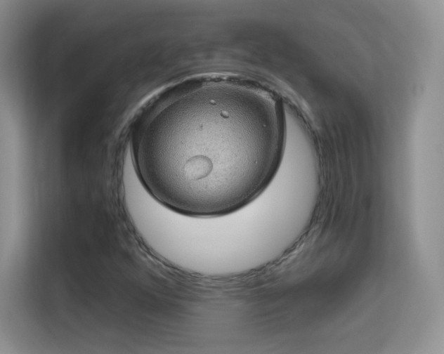 X0000113571352200909251126