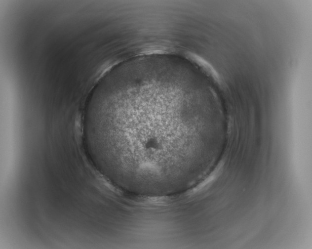 X0000113571353200909251126