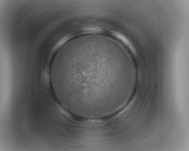 X0000113571354200909251126
