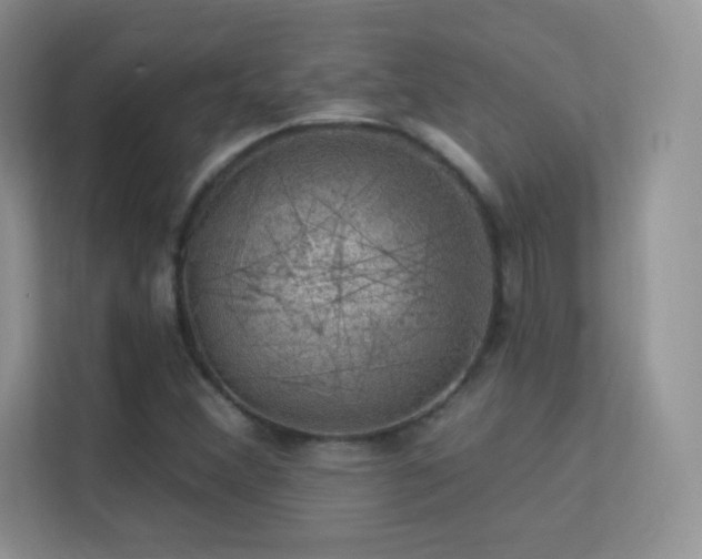 X0000113571356200909251126