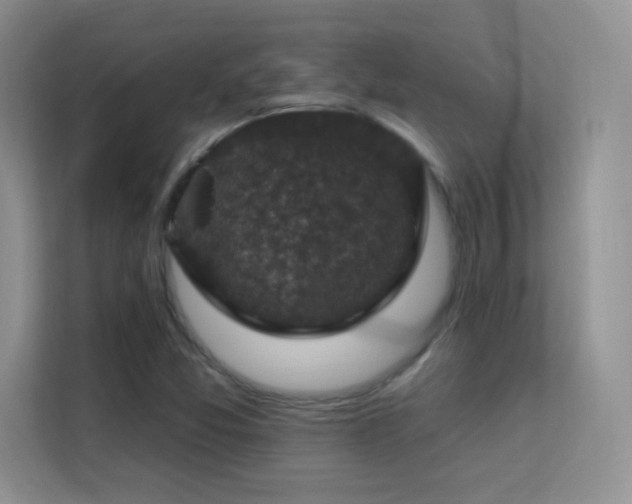 X0000113571357200909251126