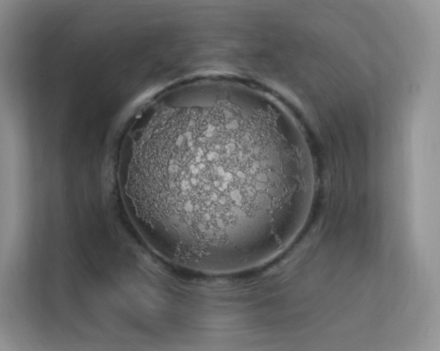 X0000113571359200909251126