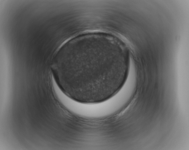X0000113571361200909251126