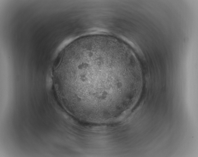 X0000113571363200909251126