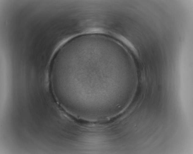 X0000113571364200909251126