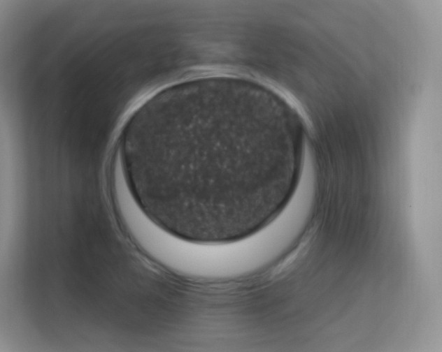 X0000113571365200909251126