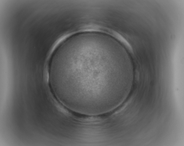 X0000113571368200909251126