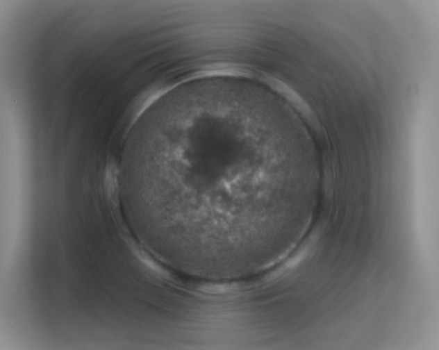 X0000113571369200909251126