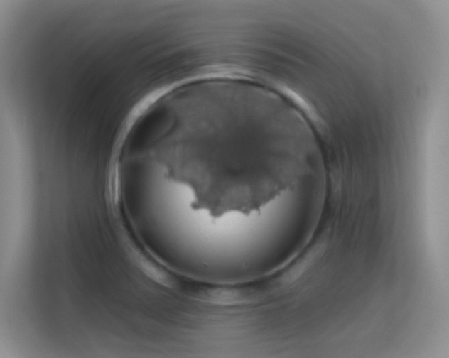 X0000113571371200909251126