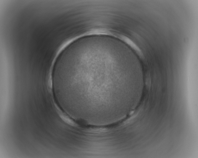 X0000113571372200909251126