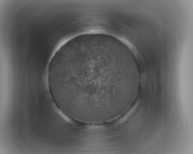 X0000113571374200909251126