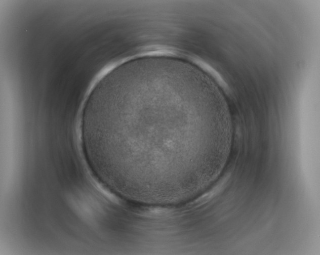 X0000113571375200909251126