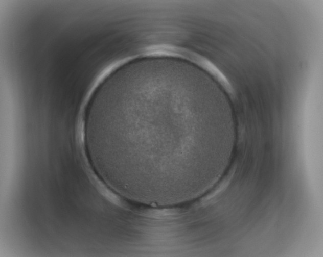 X0000113571376200909251126