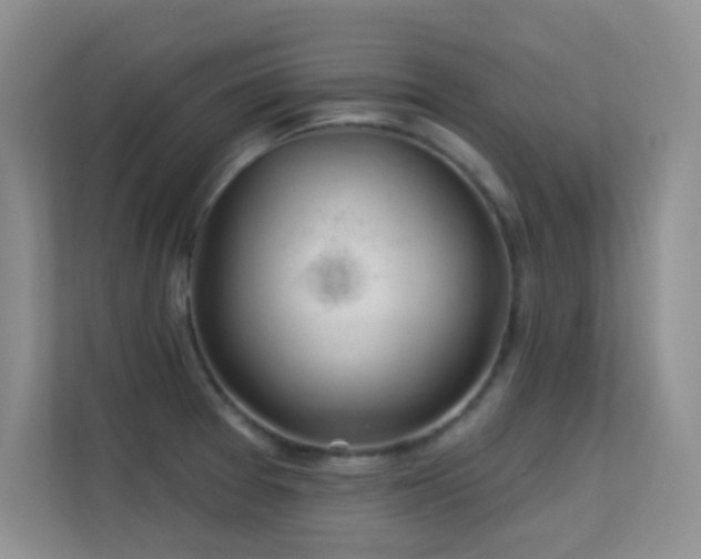 X0000113571377200909251126
