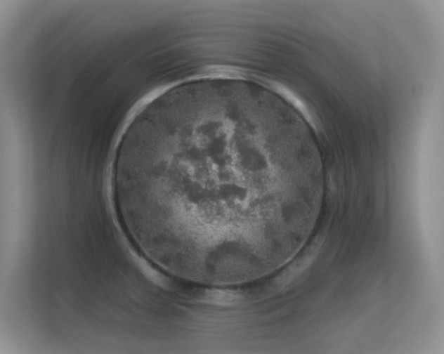 X0000113571379200909251126