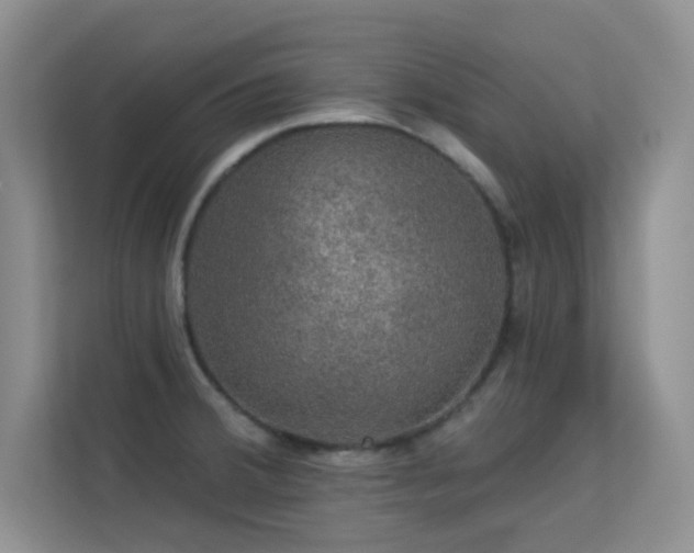 X0000113571380200909251126