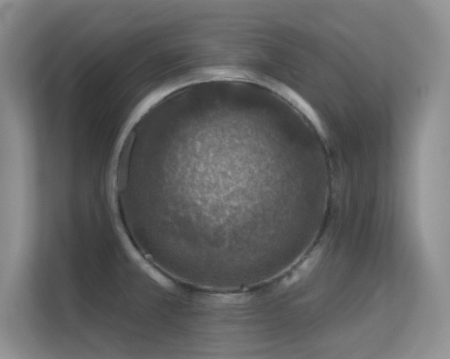 X0000113571381200909251126