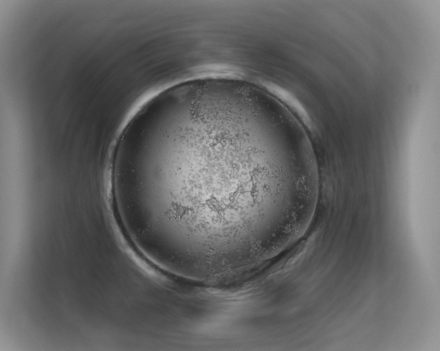 X0000113571383200909251126