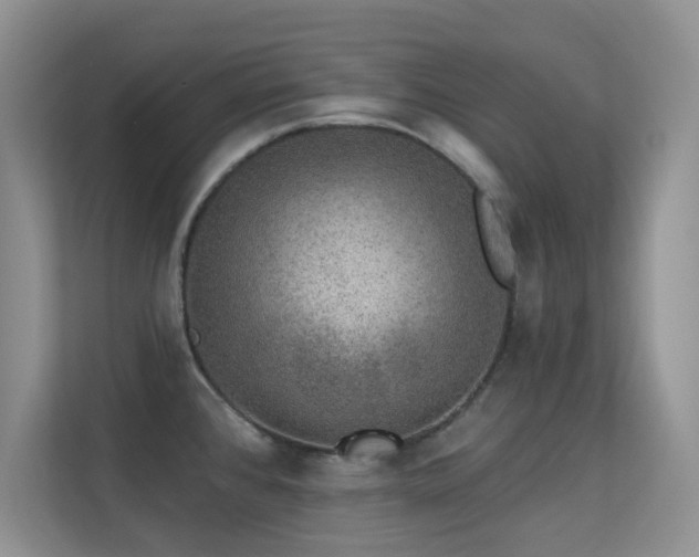 X0000113571384200909251125