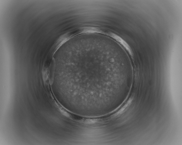 X0000113571385200909251125