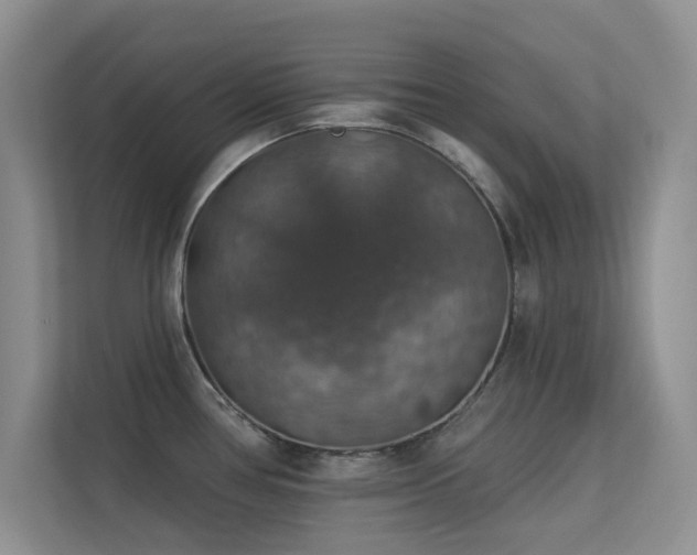 X0000113571386200909251125