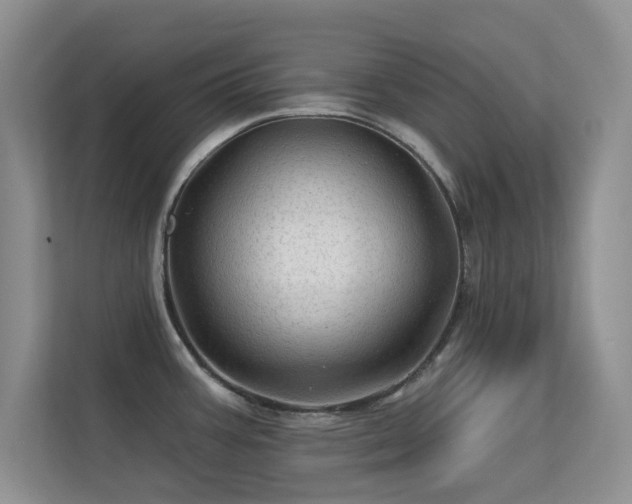 X0000113571387200909251125