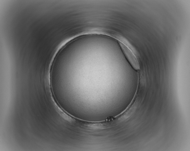 X0000113571388200909251125