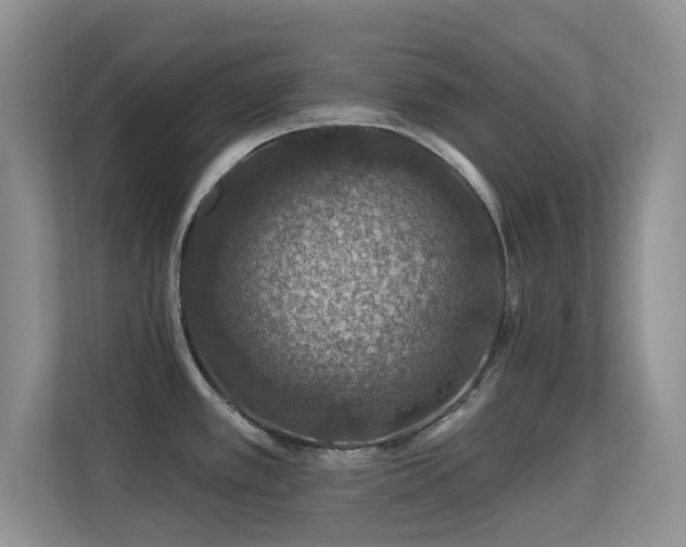 X0000113571389200909251125