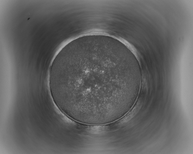 X0000113571390200909251125
