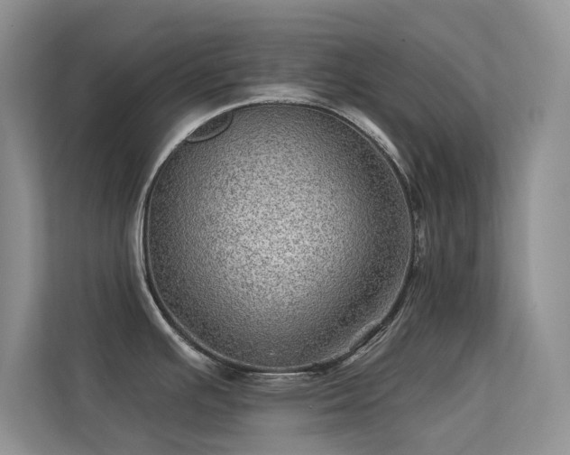 X0000113571391200909251125