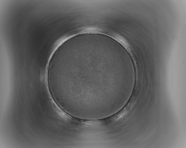 X0000113571392200909251125