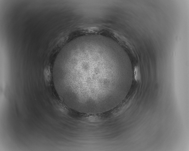 X0000113571395200909251125