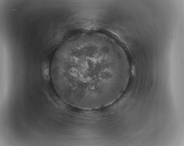X0000113571396200909251125