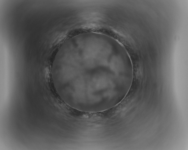 X0000113571397200909251125