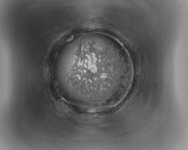 X0000113571398200909251125