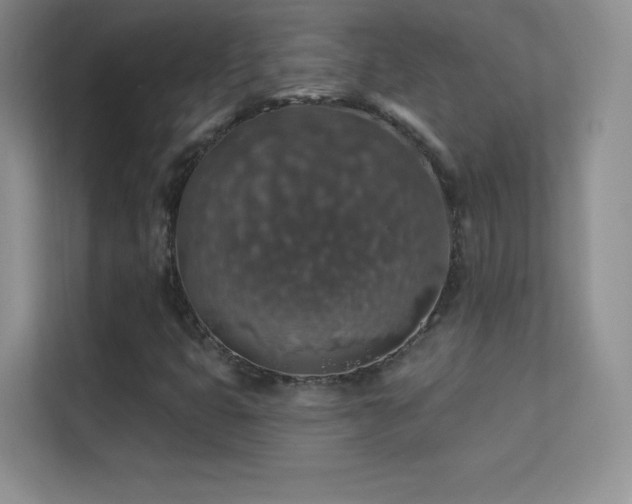 X0000113571399200909251125