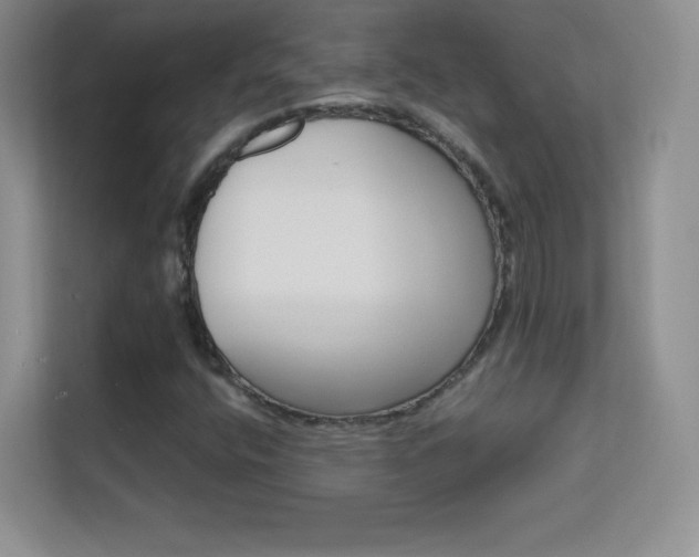 X0000113571400200909251125