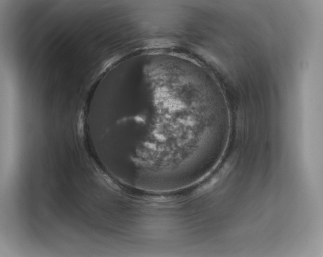 X0000113571401200909251125