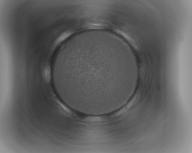 X0000113571402200909251125