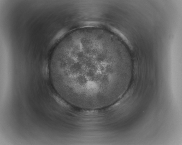 X0000113571403200909251125
