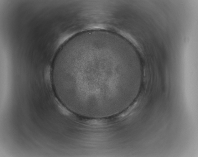 X0000113571404200909251125