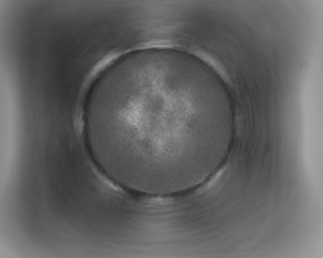 X0000113571406200909251125