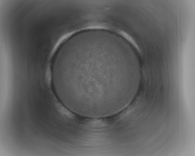 X0000113571408200909251125