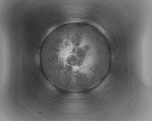 X0000113571409200909251125