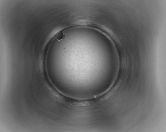 X0000113571410200909251125