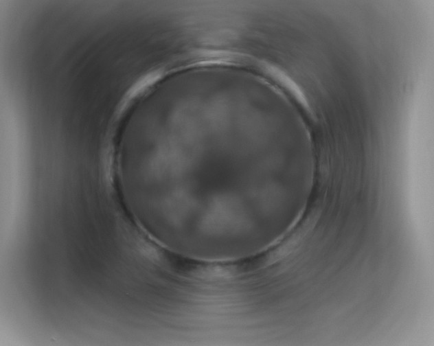 X0000113571411200909251125