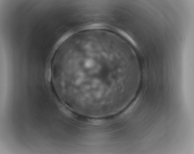 X0000113571413200909251125