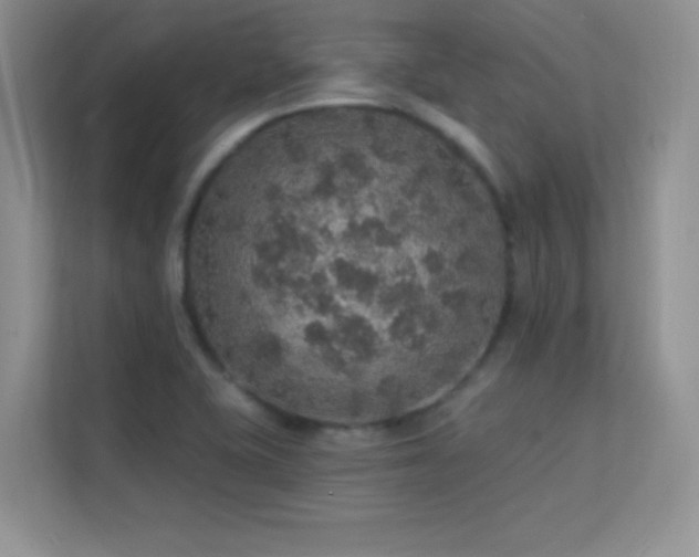 X0000113571415200909251125