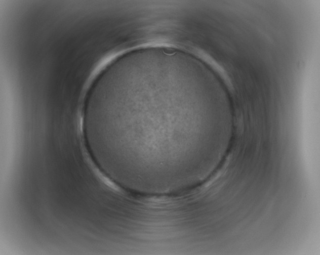 X0000113571416200909251125